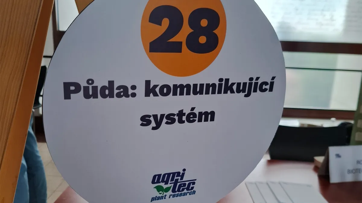 noc-vedy-2026-09-25-05