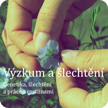 Výzkum a šlechtění od roku 1942