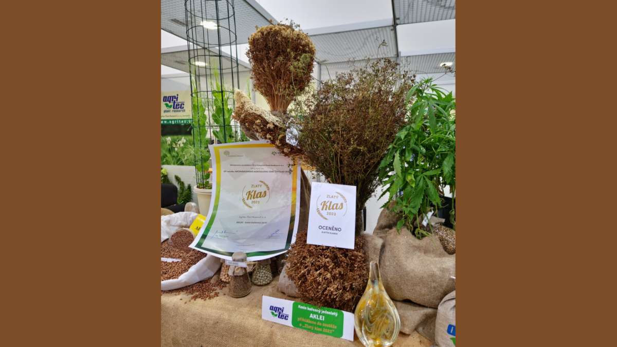 Aklei - Zlatý klas 2023