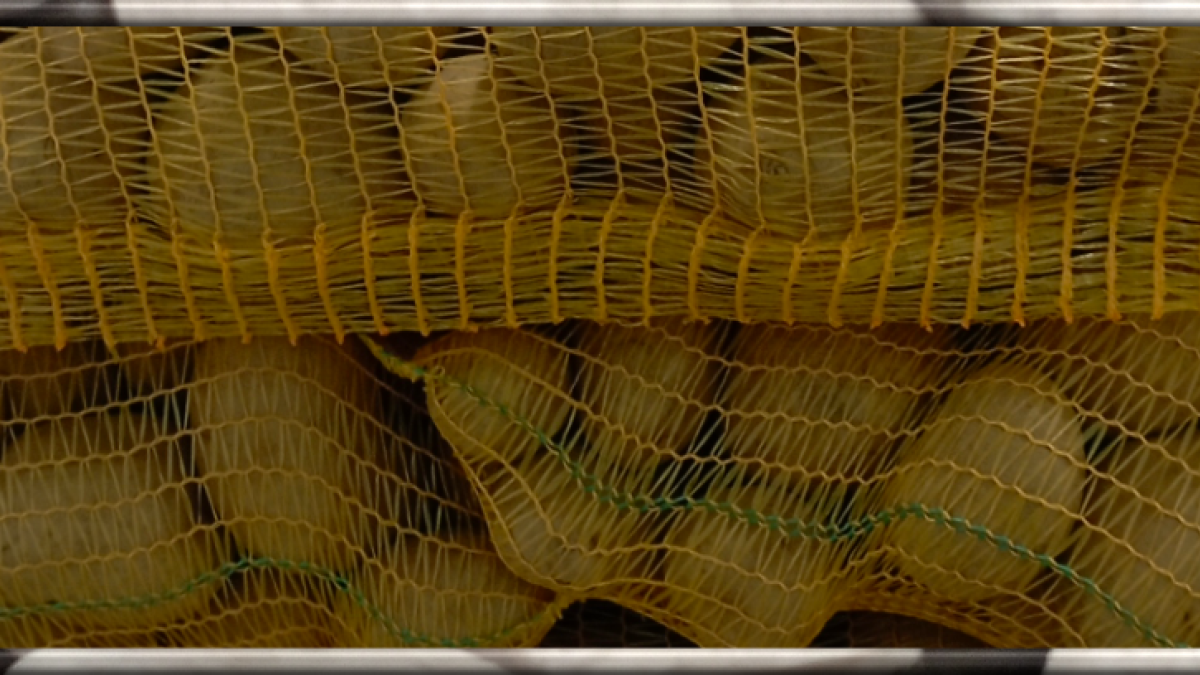 České konzumní brambory ADÉLA