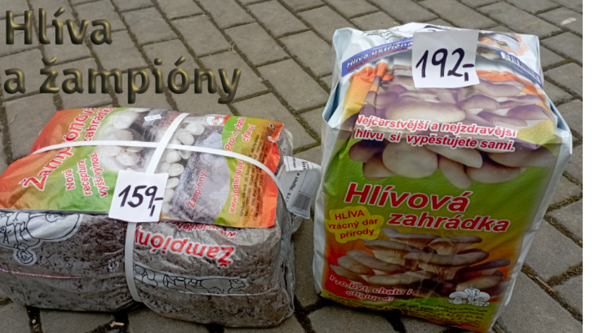 Substrát hlívy ústřičné a žampiónů