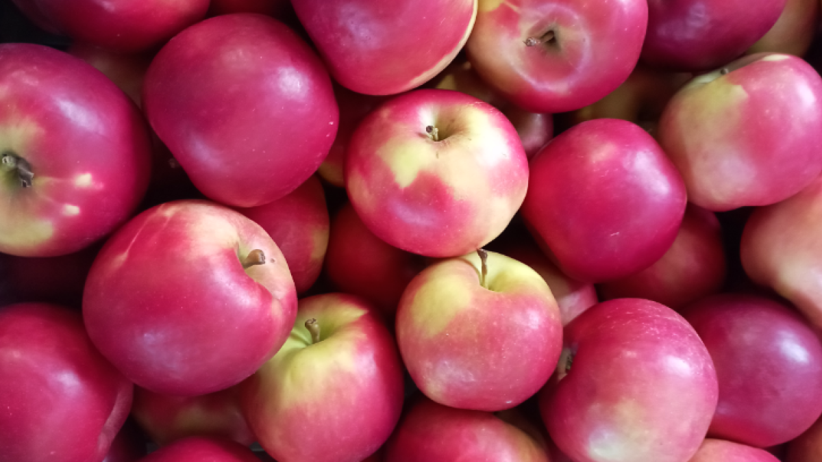 AKCE jablka IDARED 20 Kč za kg