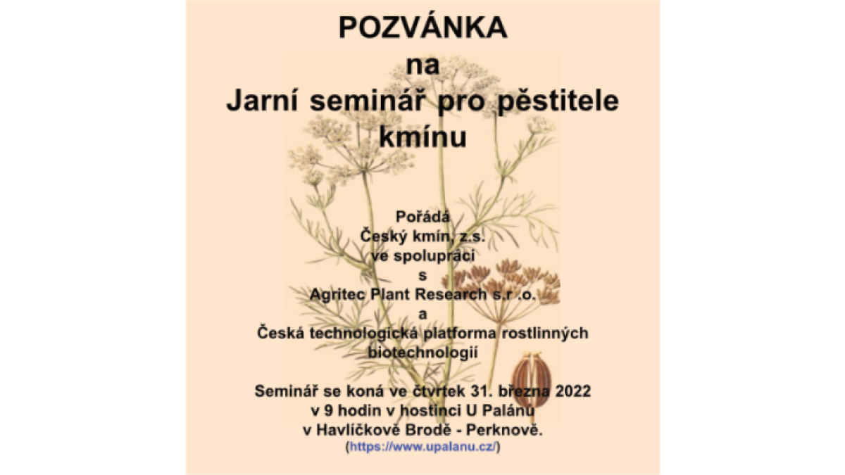 Jarní seminář kmínu 2022