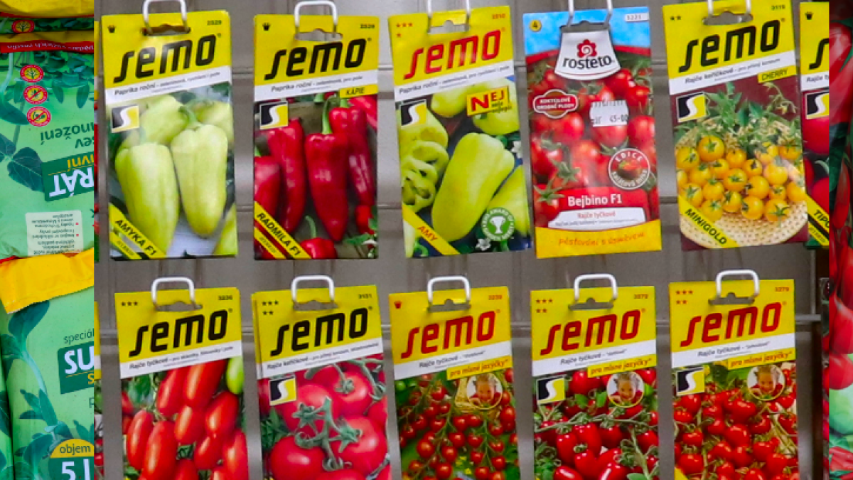 semínka, substráty