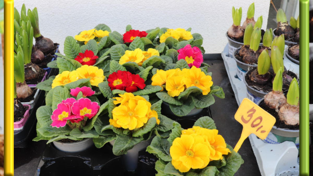 Jarní nabídka Agritec