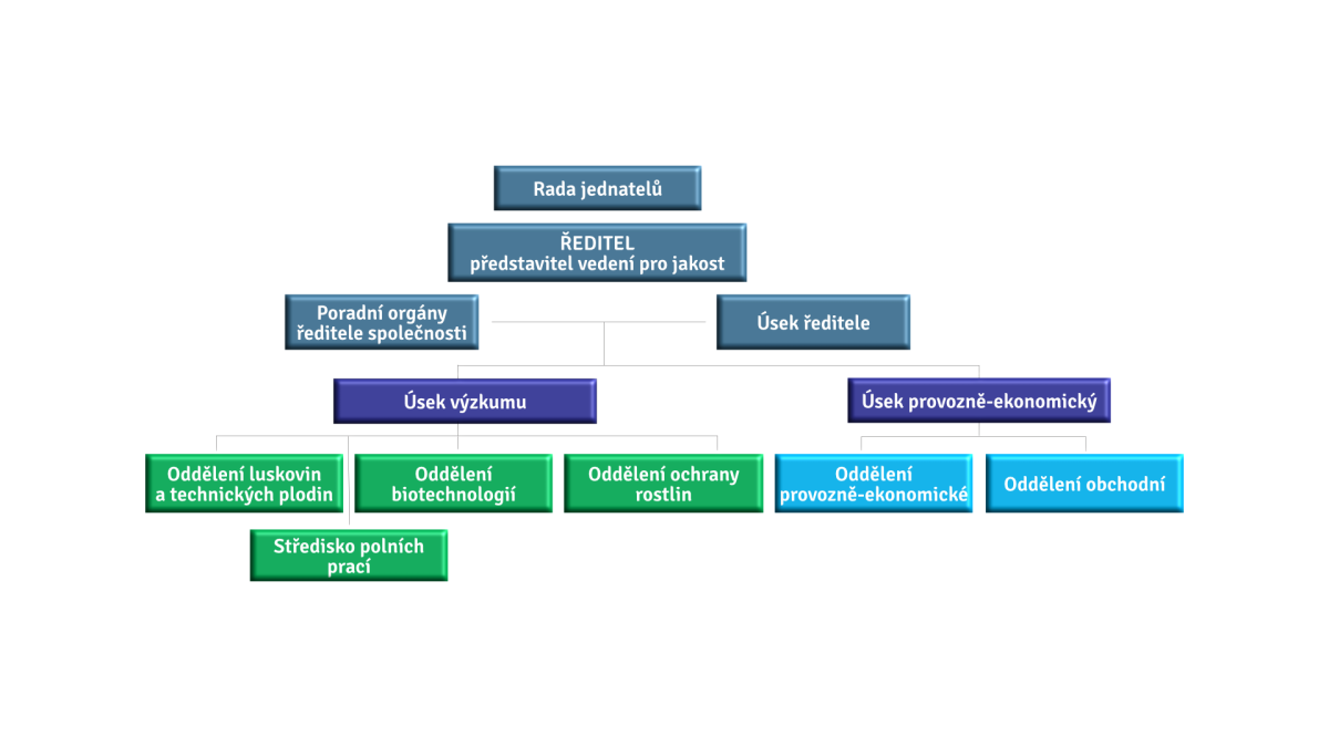 organizační schéma