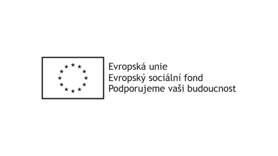Nové pracovní příležitosti – Společensky účelná pracovní místa