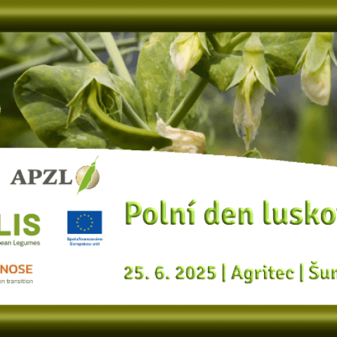 Polní den luskovin 25. 6. 2025, Agritec