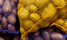 Brambory, Agrtec, 14 Kč za kg