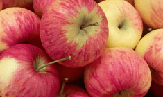 jablka - Rubinola