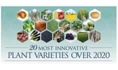 20 most innovative plant varieties 2020 – AGRAM